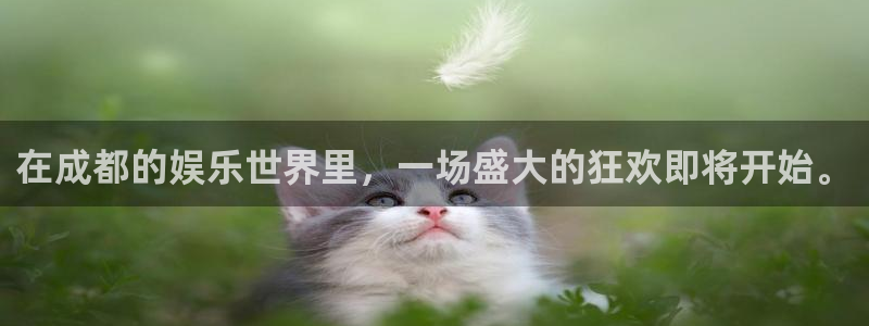 极悦娱乐.ccm苹果版