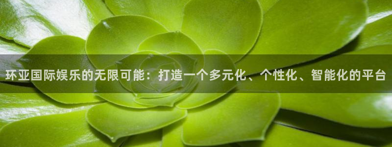 极悦娱乐登录：环亚国际娱乐的无限可能：打造一个多元化、个性化、智能化的平台
