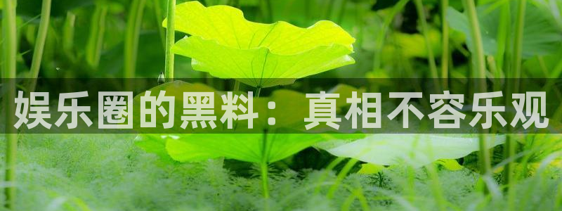 极悦娱乐平台：娱乐圈的黑料：真相不容乐观