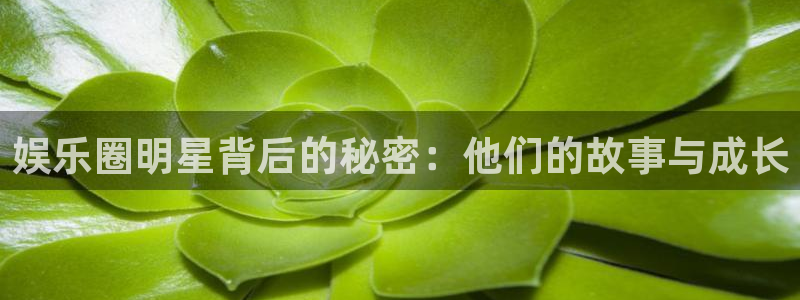 极悦娱乐quan28.cc：娱乐圈明星背后的秘密：他们的故事与成长
