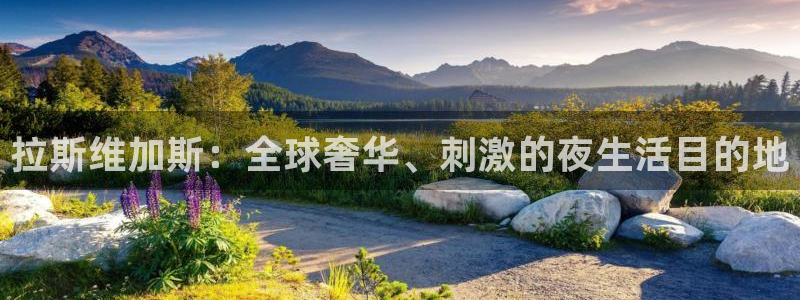 极悦娱乐体育注册代理：拉斯维加斯：全球奢华、刺激的夜生活目的地