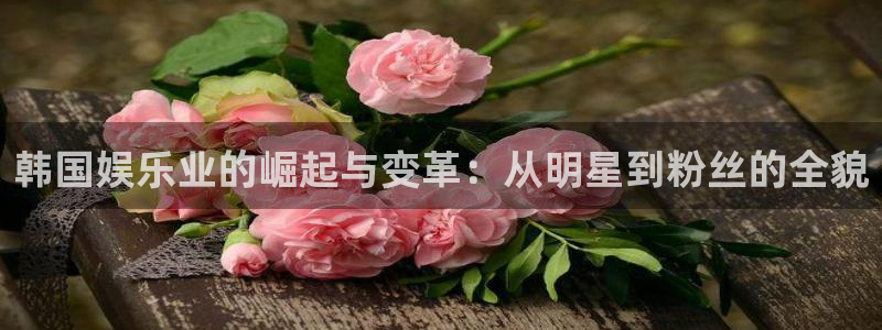 极悦娱乐注册平台：韩国娱乐业的崛起与变革：从明星到粉丝的全貌