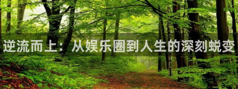 极悦娱乐：逆流而上：从娱乐圈到人生的深刻蜕变