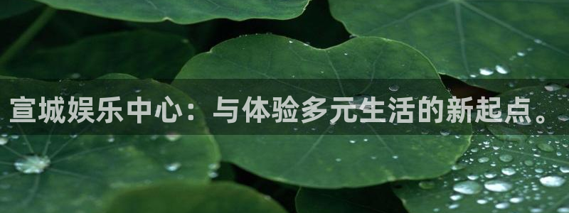 极悦娱乐平台注册账号：宣城娱乐中心：与体验多元生活的新起点。