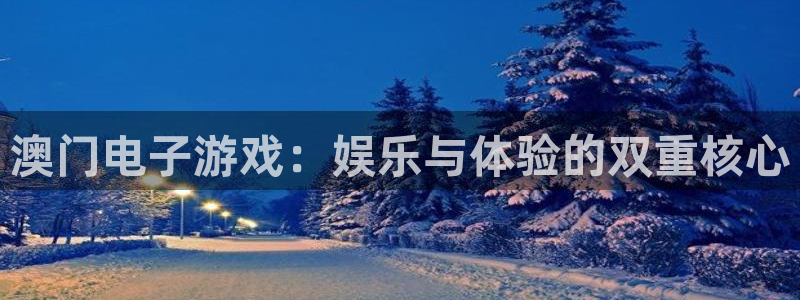 极悦娱乐加拿大app预测：澳门电子游戏：娱乐与体验的双重核心