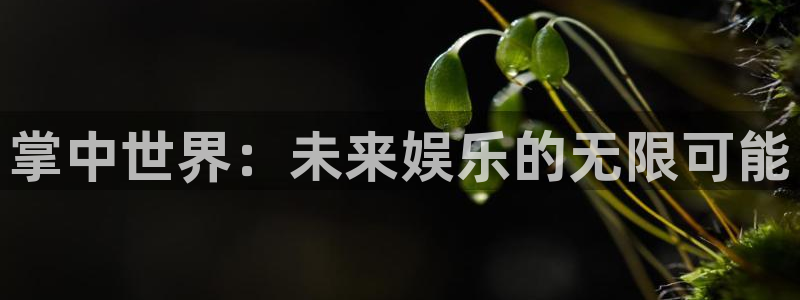 极悦娱乐主管：掌中世界：未来娱乐的无限可能
