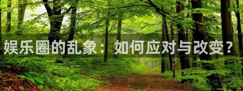 极悦娱乐游戏：娱乐圈的乱象：如何应对与改变？