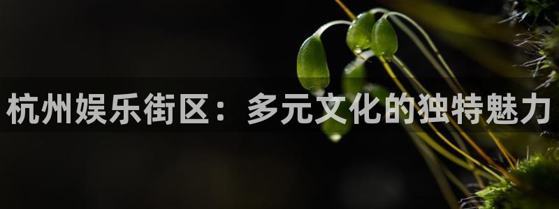 极悦娱乐体育注册登录入口：杭州娱乐街区：多元文化的独特魅力