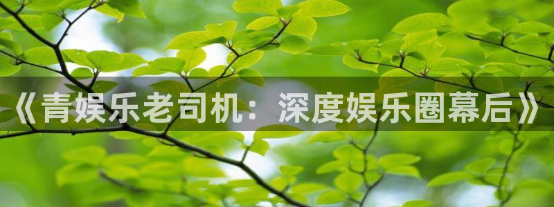 极悦娱乐4开户：《青娱乐老司机：深度娱乐圈幕后》