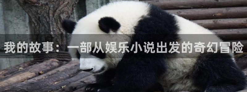 极悦娱乐vk：我的故事：一部从娱乐小说出发的奇幻冒险