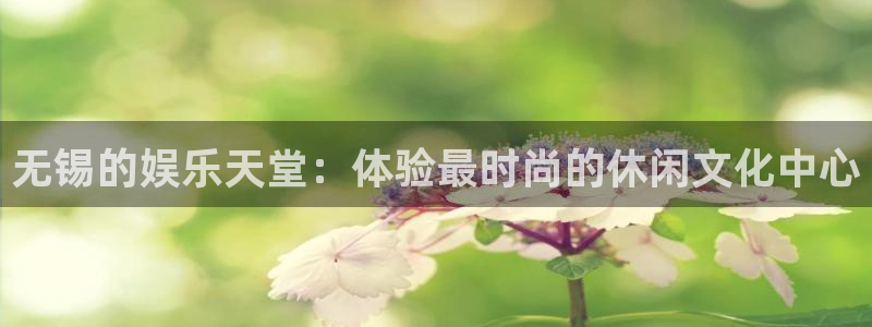 极悦娱乐官网下载：无锡的娱乐天堂：体验最时尚的休闲文化中心