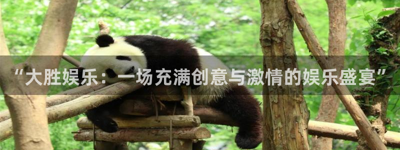 极悦娱乐ccm麻将胡了：“大胜娱乐：一场充满创意与激情的娱乐盛宴”