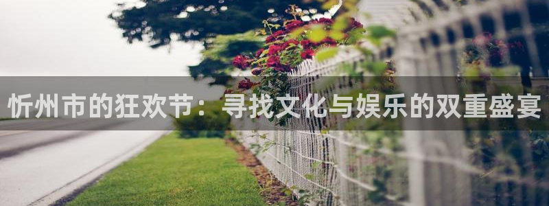 佛山市南海极悦娱乐机电仪器有限公司：忻州市的狂欢节：寻找文化与娱乐的双重盛宴