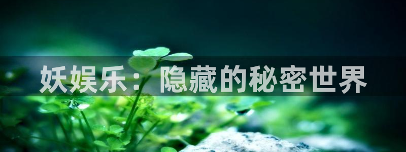 极悦娱乐平台：妖娱乐：隐藏的秘密世界