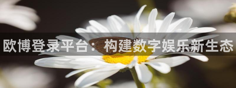 极悦娱乐注册登录入口：欧博登录平台：构建数字娱乐新生态