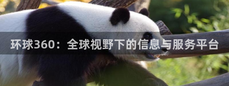 极悦娱乐网站：环球360：全球视野下的信息与服务平台