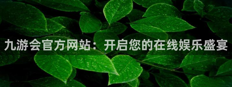 极悦娱乐集团官网：九游会官方网站：开启您的在线娱乐盛宴