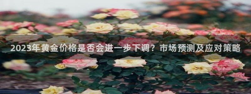 极悦娱乐.ccmpc登录：2023年黄金价格是否会进一步下调？市场预测及应对策略