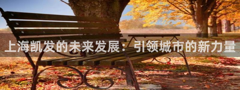 极悦娱乐游戏官网版：上海凯发的未来发展：引领城市的新力量