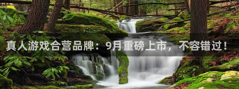 极悦娱乐招商：真人游戏合营品牌：9月重磅上市，不容错过！