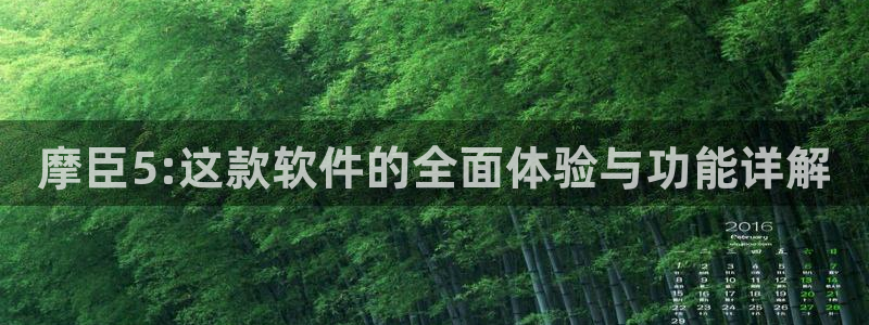 极悦娱乐下载入口：摩臣5:这款软件的全面体验与功能详解