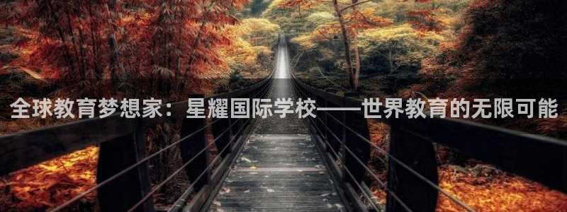 极悦娱乐3登录：全球教育梦想家：星耀国际学校——世界教育的无限可能