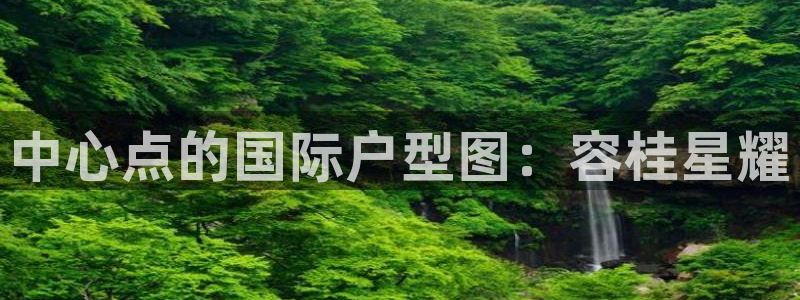 极悦娱乐体育论坛：中心点的国际户型图：容桂星耀