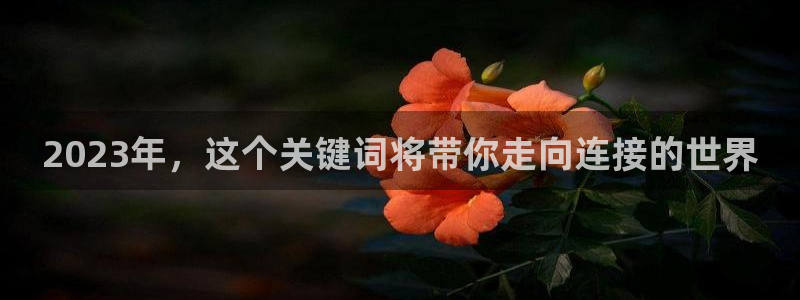 极悦娱乐4：2023年，这个关键词将带你走向连接的世界