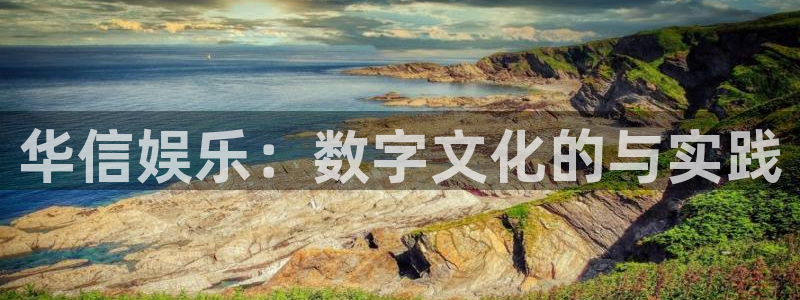 极悦娱乐3登陆：华信娱乐：数字文化的与实践