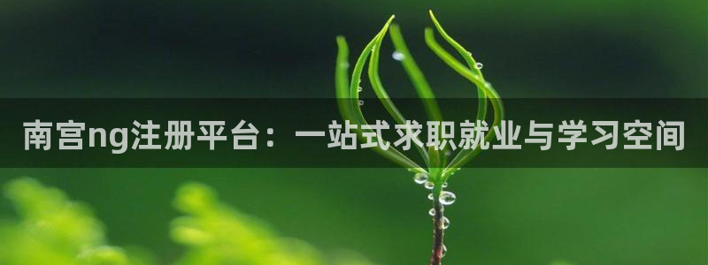 极悦娱乐4平台：南宫ng注册平台：一站式求职就业与学习空间