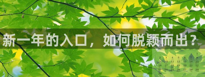 极悦娱乐官网入口：新一年的入口，如何脱颖而出？
