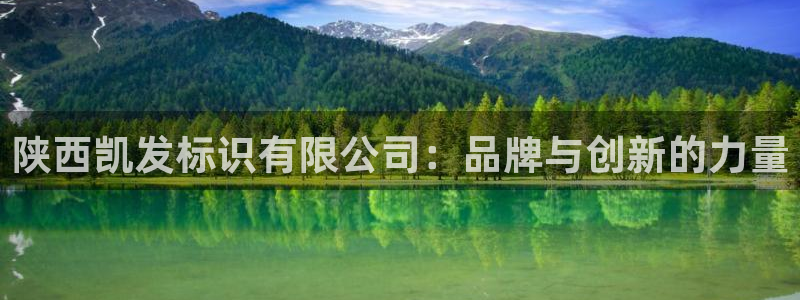 极悦娱乐平台官方入口：陕西凯发标识有限公司：品牌与创新的力量