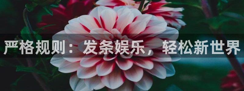 极悦娱乐体育凯捷平台招商：严格规则：发条娱乐，轻松新世界