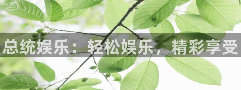 极悦娱乐链接：总统娱乐：轻松娱乐，精彩享受