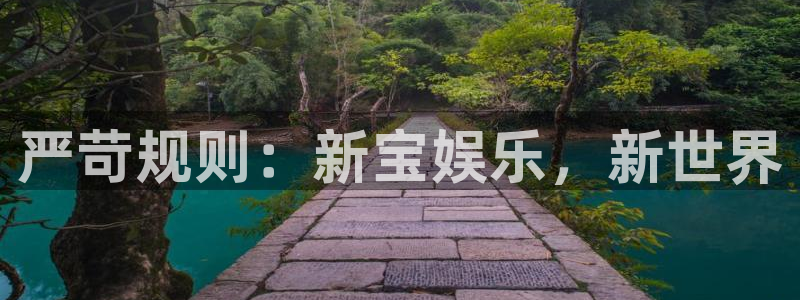 极悦娱乐体育注册登录入口：严苛规则：新宝娱乐，新世界