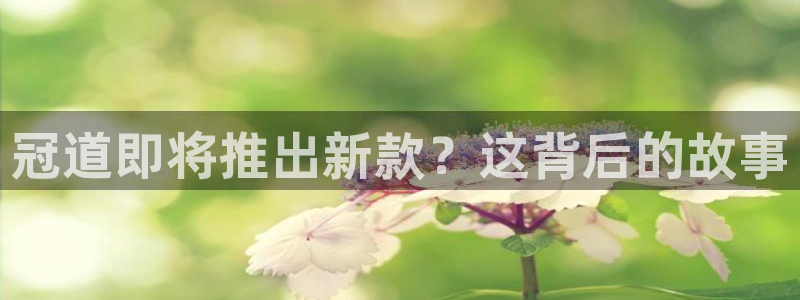 极悦娱乐app哪个模式容易赢
