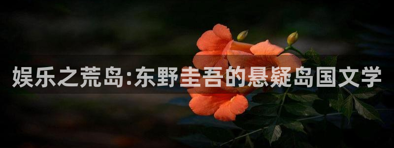 极悦娱乐.ccmpc29官网版下载：娱乐之荒岛:东野圭吾的悬疑岛国文学
