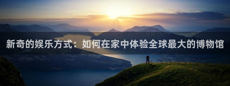 极悦娱乐招商：新奇的娱乐方式：如何在家中体验全球最大的博物馆