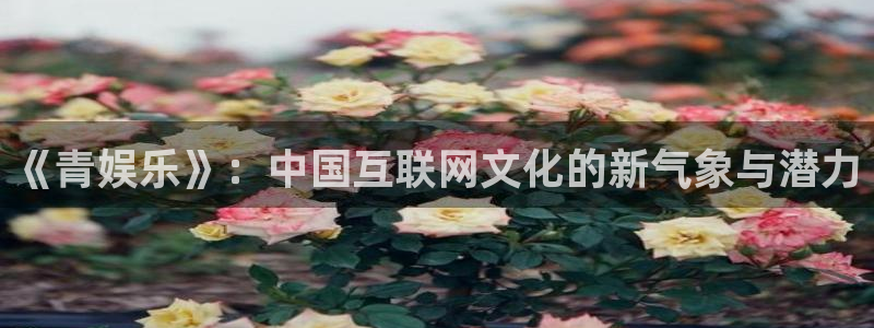 极悦娱乐3官网：《青娱乐》：中国互联网文化的新气象与潜力