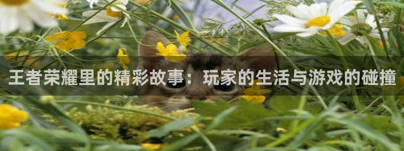 极悦娱乐2体育：王者荣耀里的精彩故事：玩家的生活与游戏的碰撞