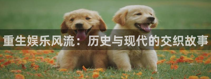 东莞市极悦娱乐电子科技有限公司：重生娱乐风流：历史与现代的交织故事